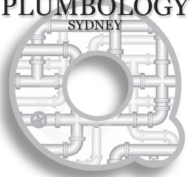 True Logo